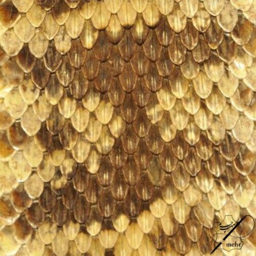 چرم اگزوتیک چیست؟